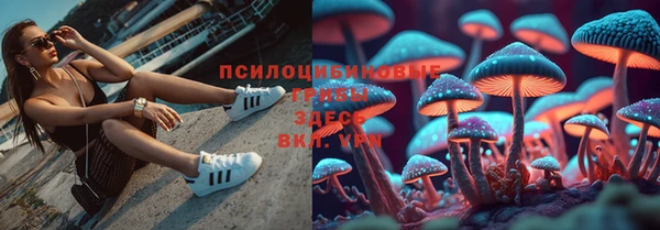 а пвп мука Алзамай